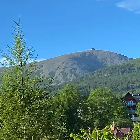 Pinia דירה קרפאז'